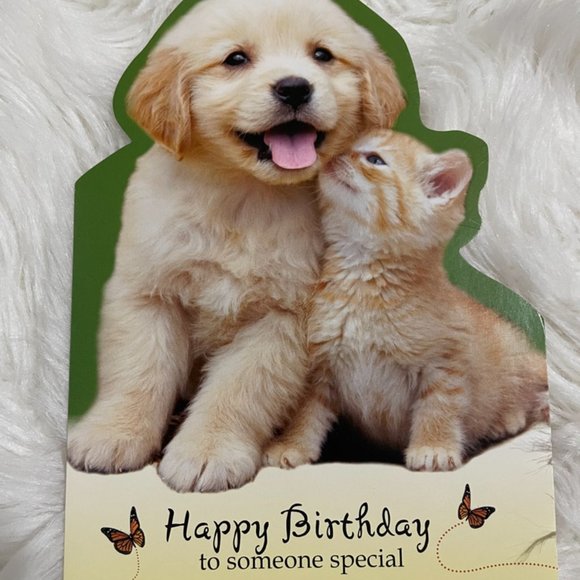 6 birthday card bundle cuddly puppy/kitten with matching print envelopes - Picture 2 of 13
